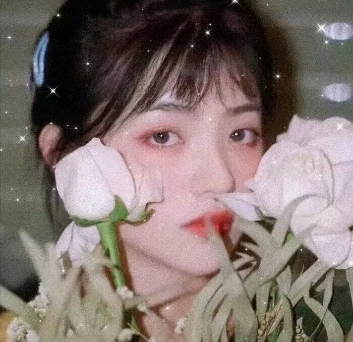 小老鼠历险记